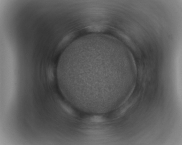 X0000113330114200909281235