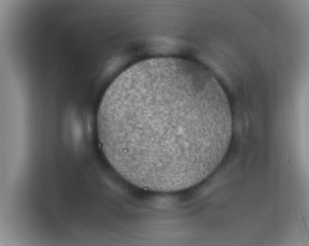 X0000113330115200909281235
