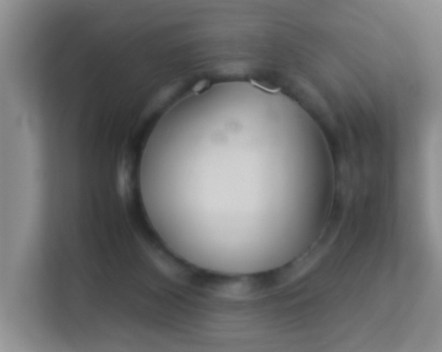X0000113330116200909281235
