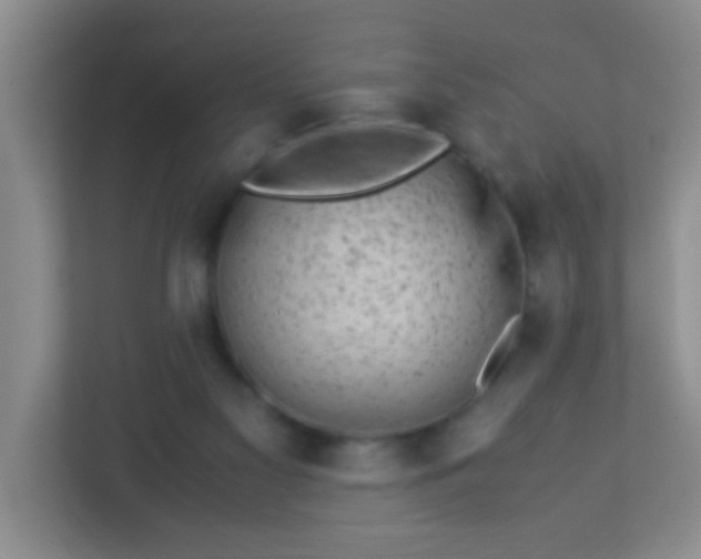 X0000113330117200909281235