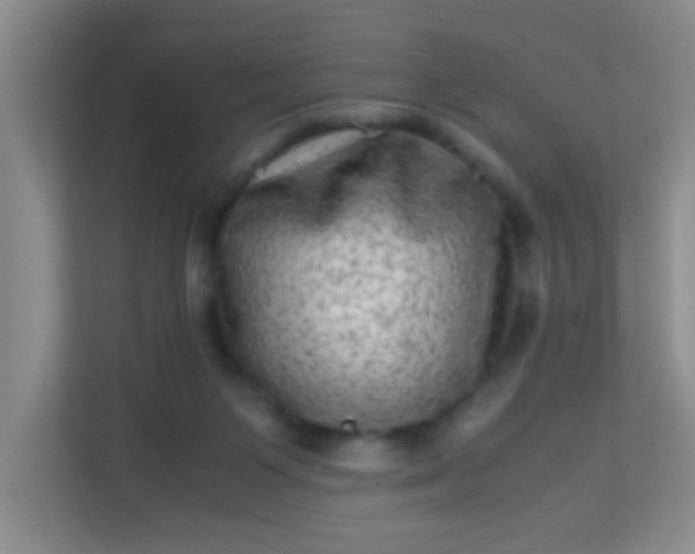 X0000113330119200909281235