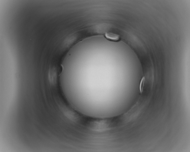 X0000113330120200909281235