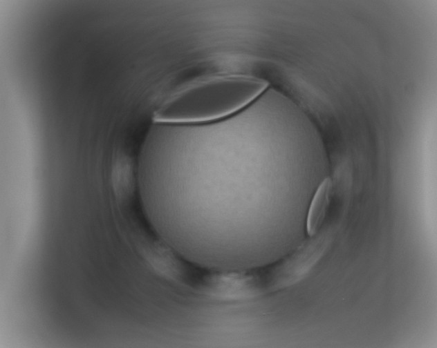 X0000113330121200909281235