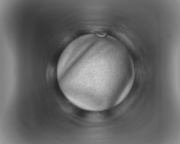 X0000113330123200909281235