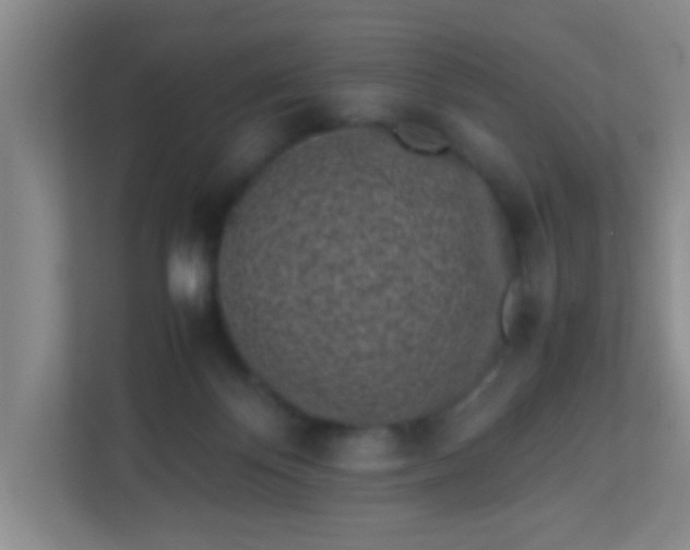 X0000113330124200909281235