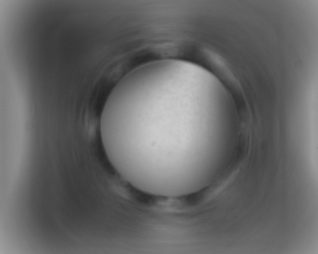 X0000113330125200909281235