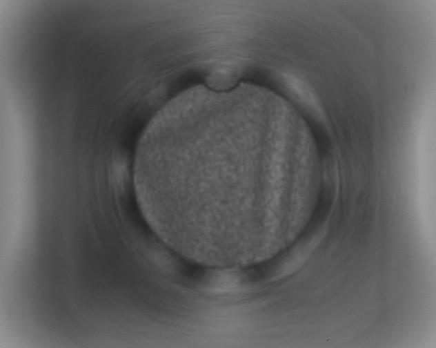 X0000113330127200909281235