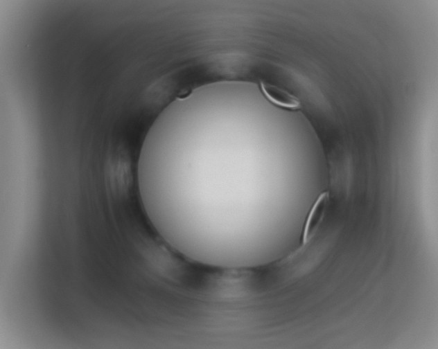 X0000113330128200909281235