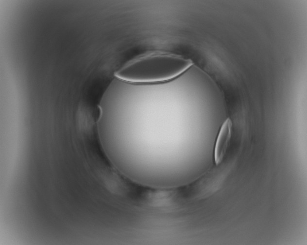 X0000113330129200909281235