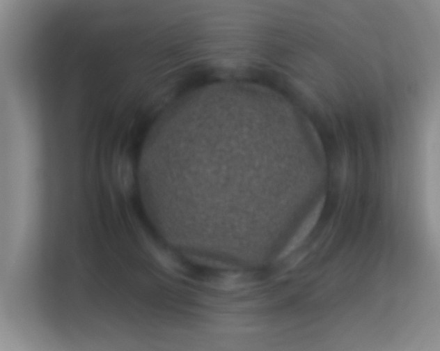 X0000113330130200909281235