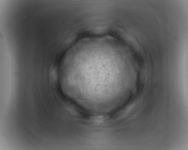 X0000113330131200909281235