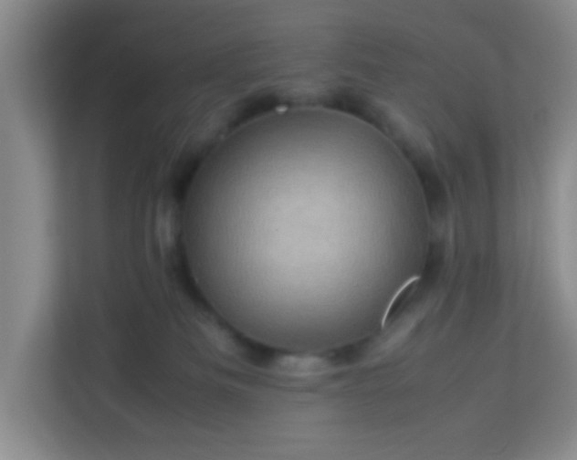 X0000113330133200909281235