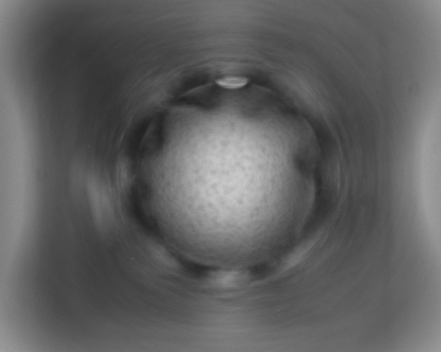 X0000113330135200909281235