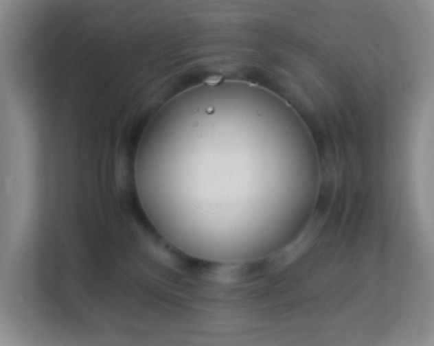 X0000113330136200909281235