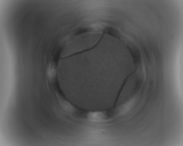 X0000113330137200909281235
