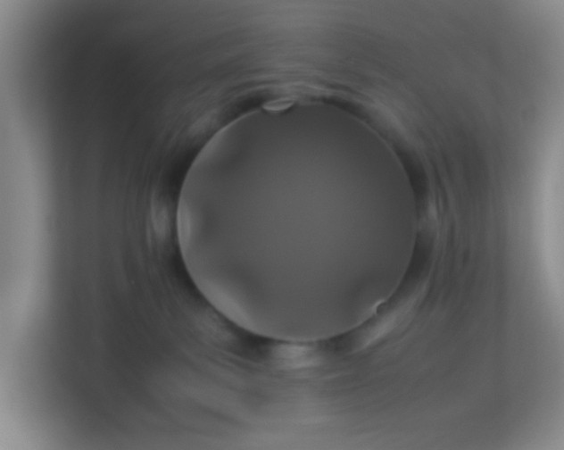 X0000113330139200909281235