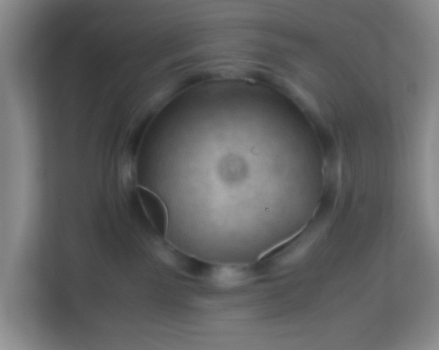 X0000113330141200909281235