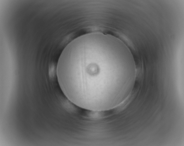 X0000113330142200909281235