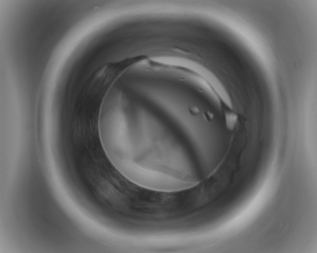 X0000113330143200909281235