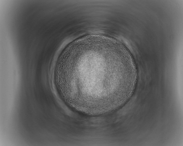 X0000113330145200909281234