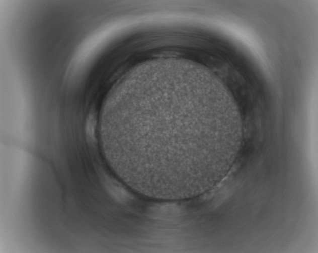 X0000113330146200909281234