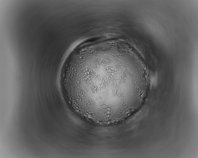 X0000113330147200909281234