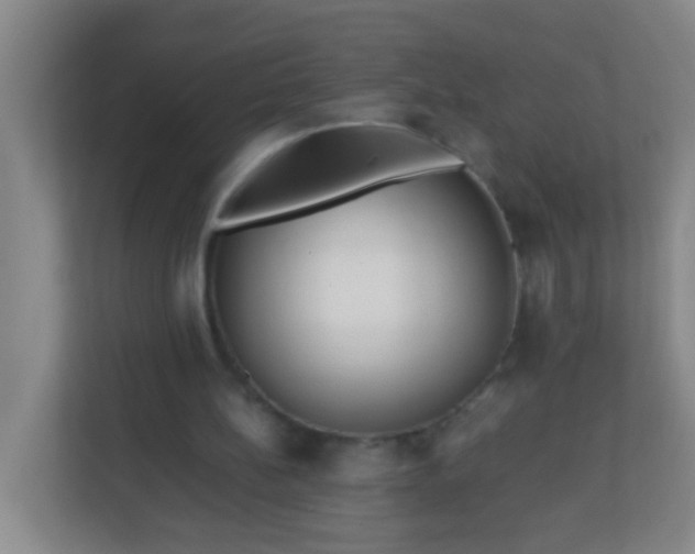 X0000113330148200909281234
