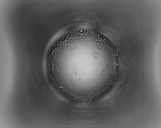 X0000113330149200909281234