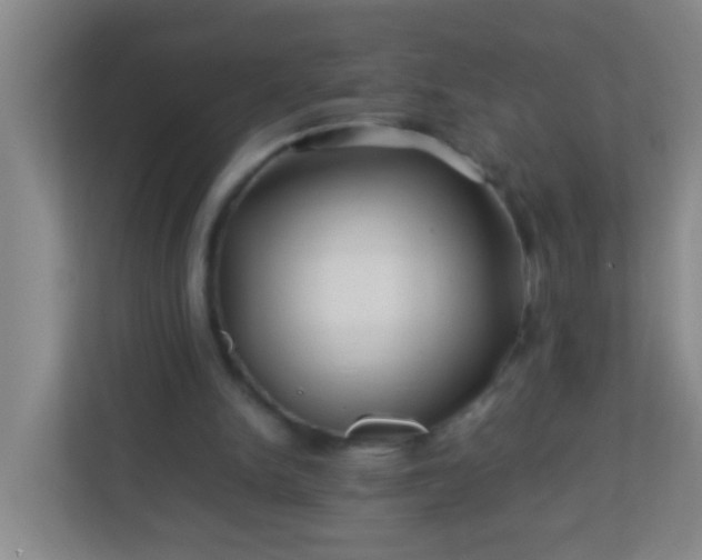 X0000113330150200909281234