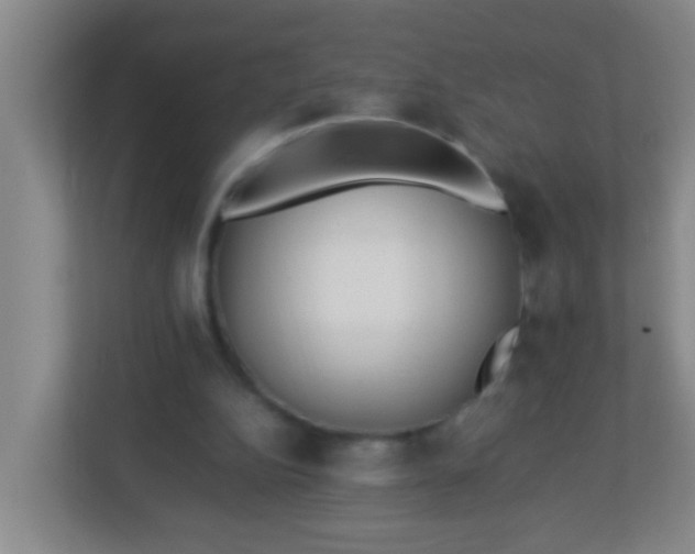 X0000113330152200909281234