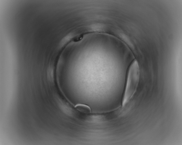 X0000113330154200909281234