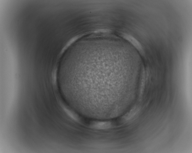 X0000113330155200909281234