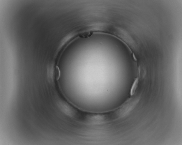 X0000113330156200909281234