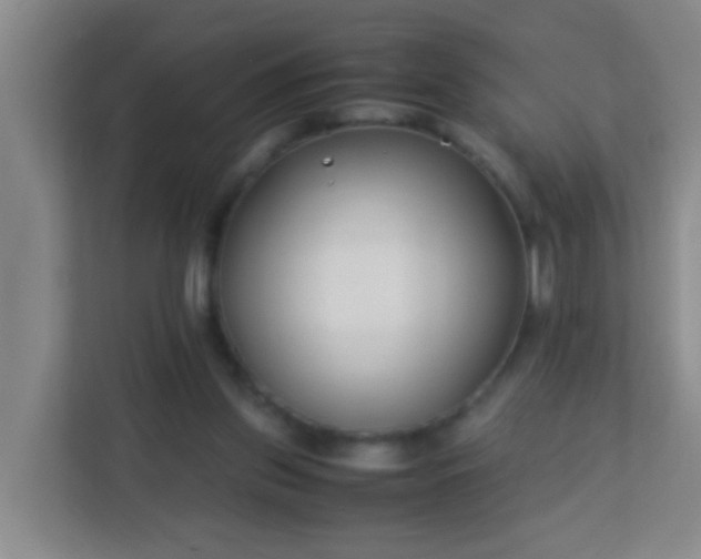 X0000113330157200909281234