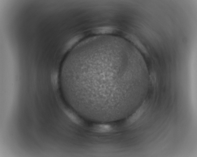 X0000113330159200909281234