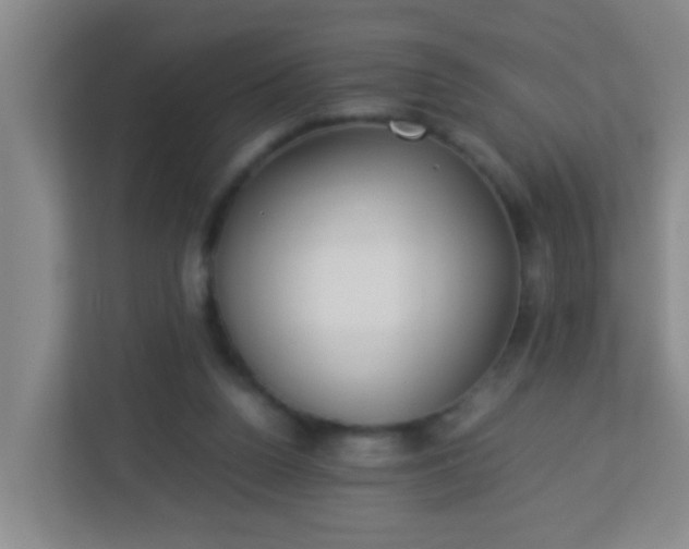 X0000113330160200909281234