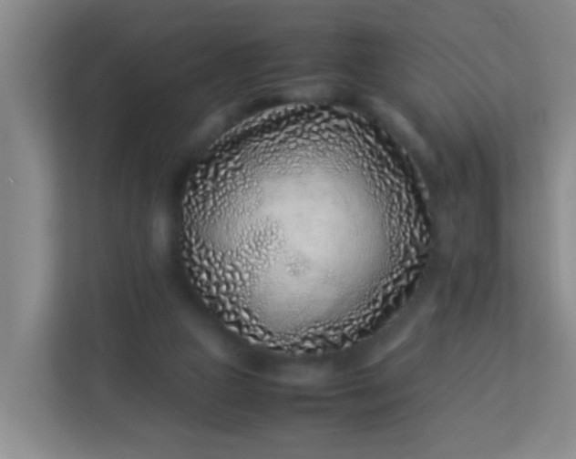 X0000113330161200909281234