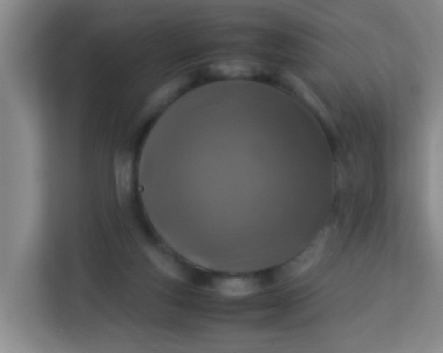 X0000113330163200909281234