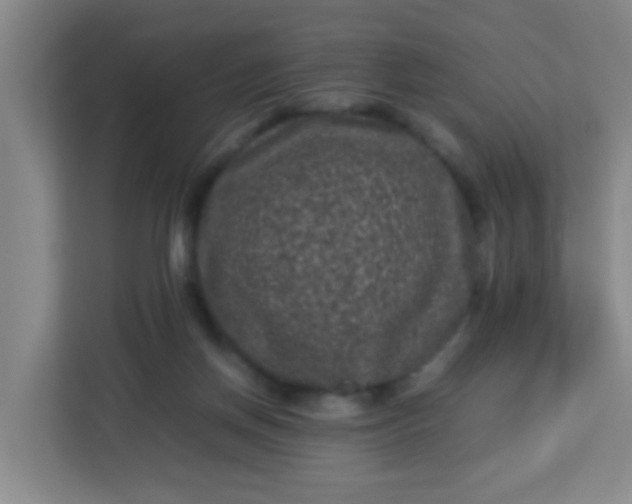 X0000113330166200909281235