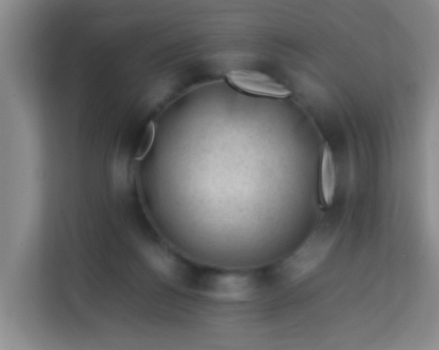 X0000113330168200909281235