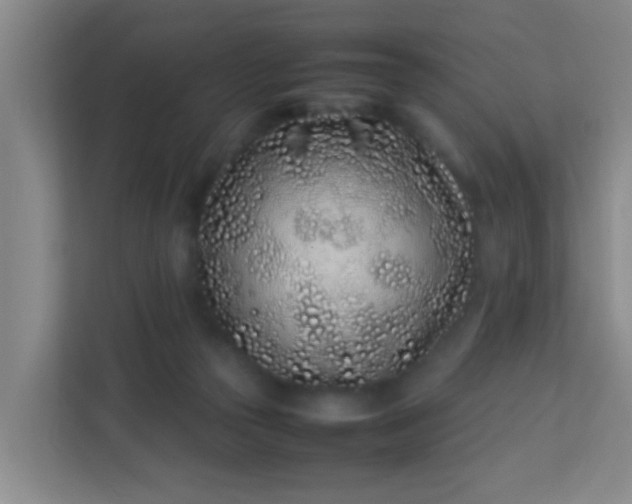 X0000113330169200909281235