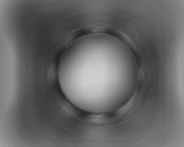 X0000113330170200909281235