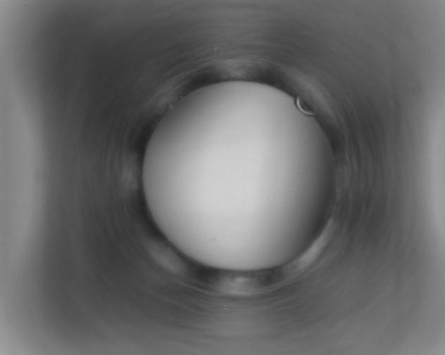 X0000113330174200909281235