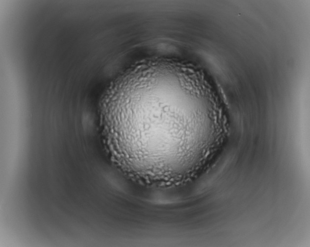 X0000113330177200909281235