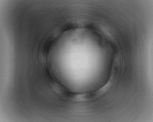 X0000113330178200909281235