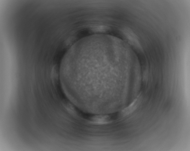 X0000113330179200909281235