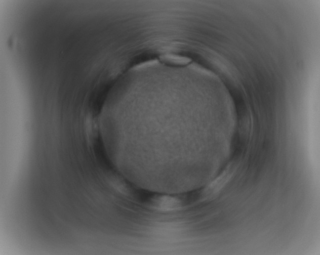 X0000113330180200909281235