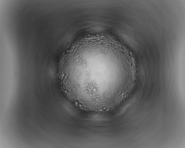X0000113330181200909281235