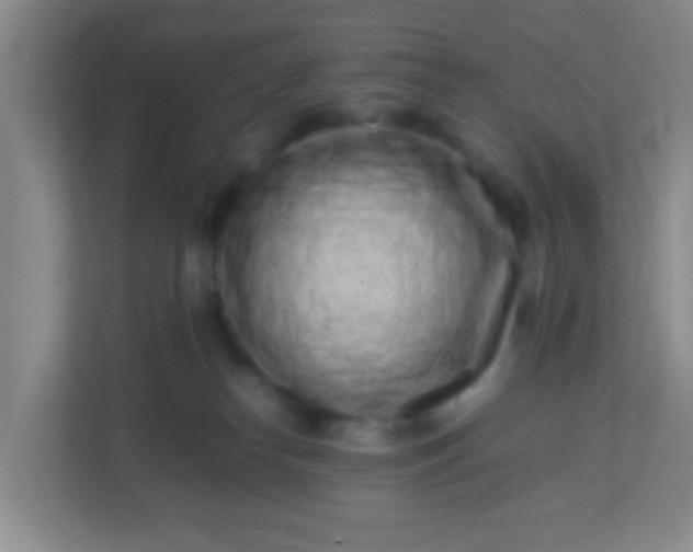 X0000113330182200909281235