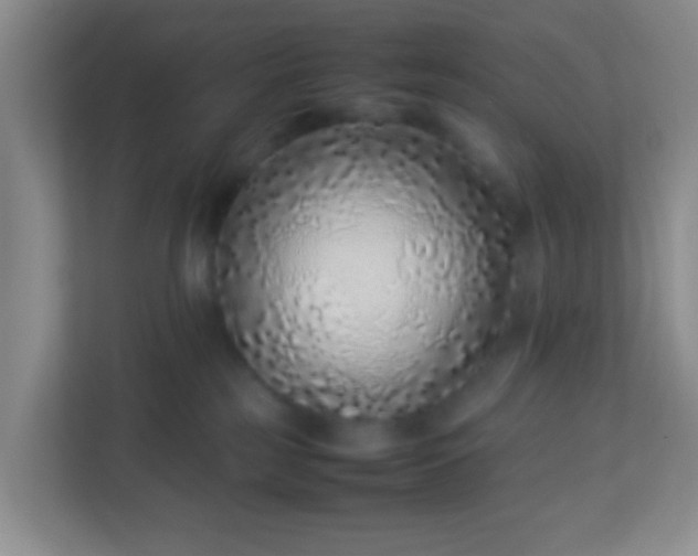 X0000113330185200909281235